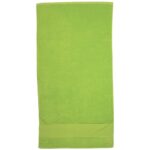 Terry Velour Towel