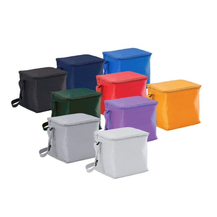 SMALL COOLER BAG
