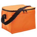 ARCTIC COOLER BAG - Image 4